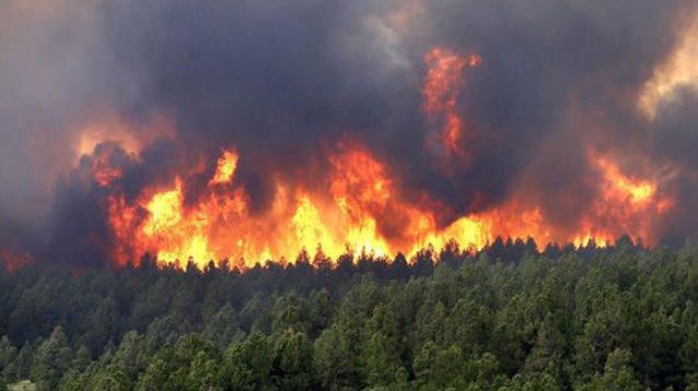 هذه حصيلة الحرائق الغابوية بالمغرب خلال سنة 2021