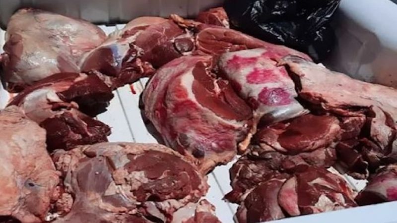 حجز نصف طن من اللحوم الفاسدة موجهة لموائد المستهلكين بأكادير